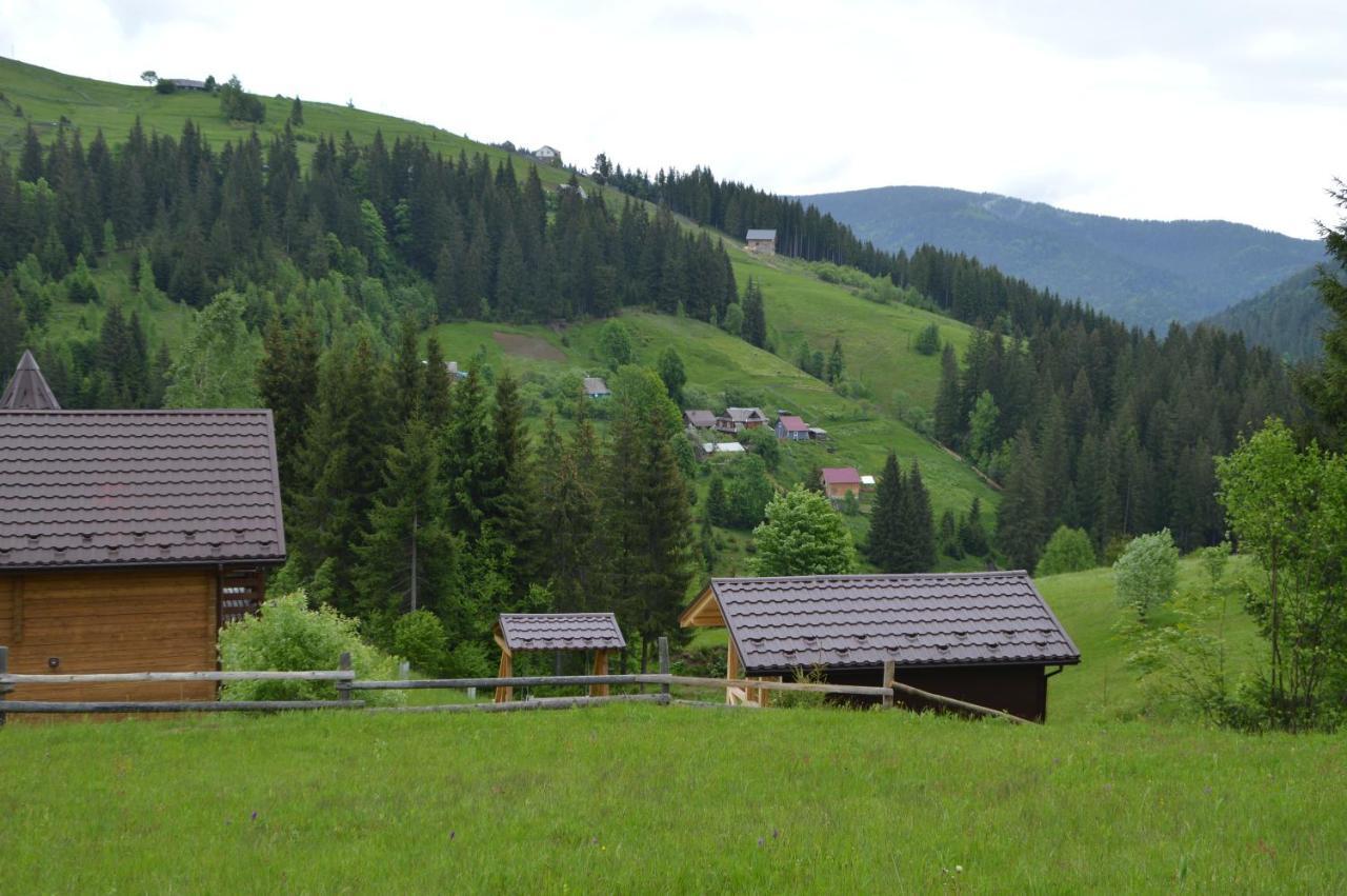 Пагорб Їжака / Hedgehog Hill Villa Jablunicja Kültér fotó