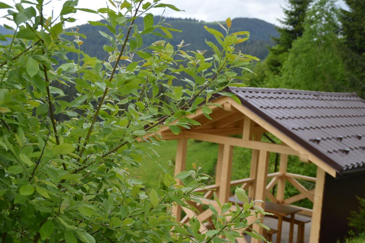 Пагорб Їжака / Hedgehog Hill Villa Jablunicja Kültér fotó